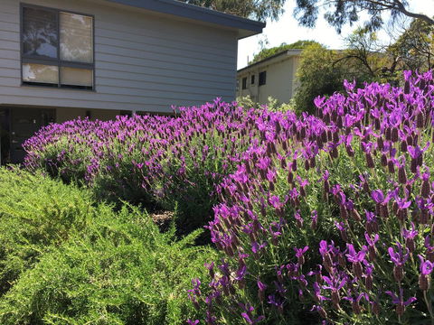 Kookas Retreat - Kingaroy Accommodation 14