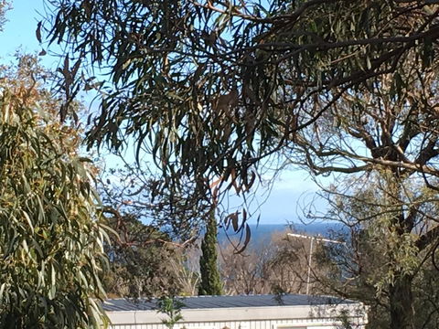 Kookas Retreat - Kingaroy Accommodation 17