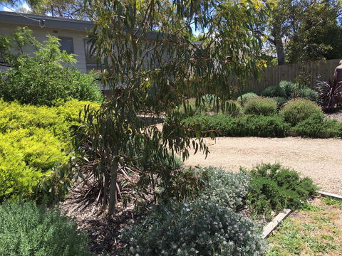 Kookas Retreat - Kingaroy Accommodation 13