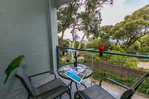 Lorne Surf Apartments - Kingaroy Accommodation 21