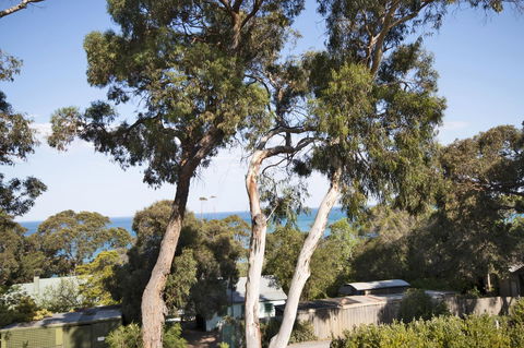 Lorne Surf Apartments - Kingaroy Accommodation 6