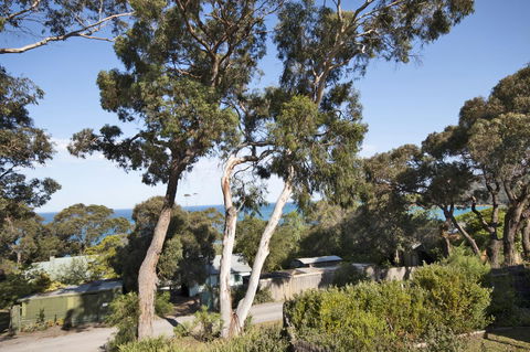 Lorne Surf Apartments - Kingaroy Accommodation 11
