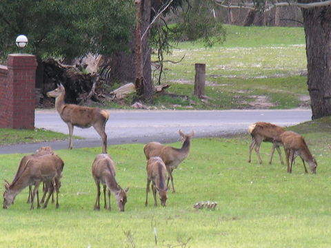 The Grampians Motel - Kingaroy Accommodation 23