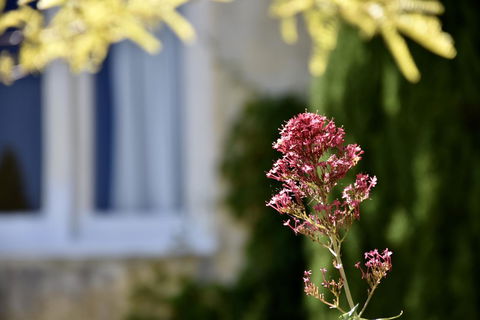 Villa Mallorca - Kingaroy Accommodation 28