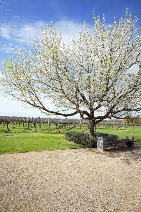 Lancemore Milawa - Kingaroy Accommodation 12