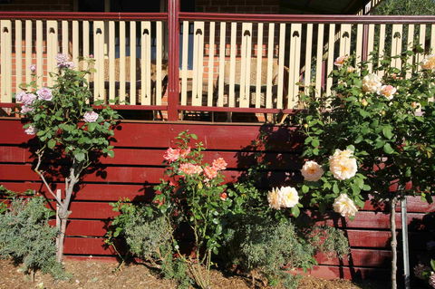 Oxford Rise Apartment - Kingaroy Accommodation 21