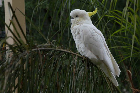 Oxford Rise Apartment - Kingaroy Accommodation 23