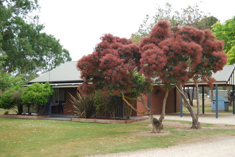 Greenvale Holiday Units - Kingaroy Accommodation 9