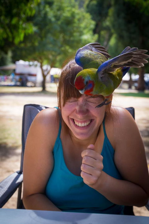 Halls Gap Lakeside Tourist Park - Kingaroy Accommodation 5