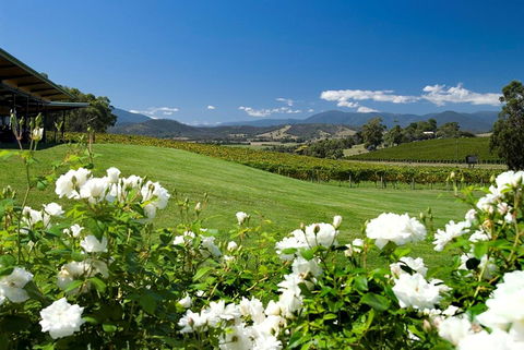 Balgownie Estate Yarra Valley - Kingaroy Accommodation 36