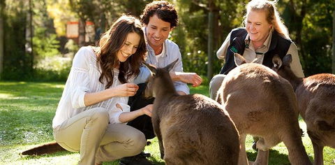 Balgownie Estate Yarra Valley - Kingaroy Accommodation 10