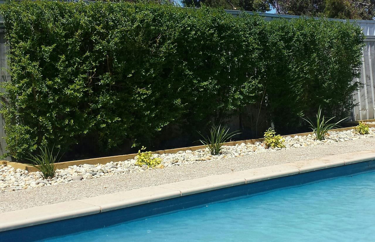 Annuello VIC Kingaroy Accommodation