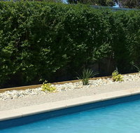 Robinvale Bridge Motel - Kingaroy Accommodation