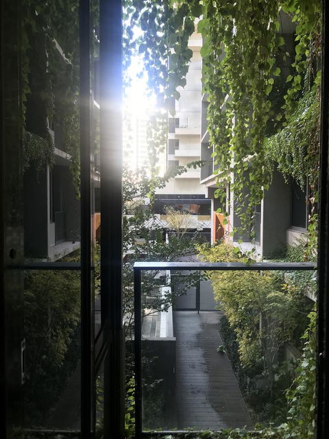 Rose Lane Serviced Apartment - Kingaroy Accommodation 7
