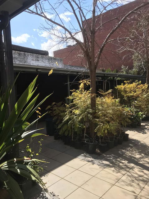 CROWN CENTRAL BUSINESS DISTRICT MOTEL - NO UNDER 18s - Kingaroy Accommodation 15