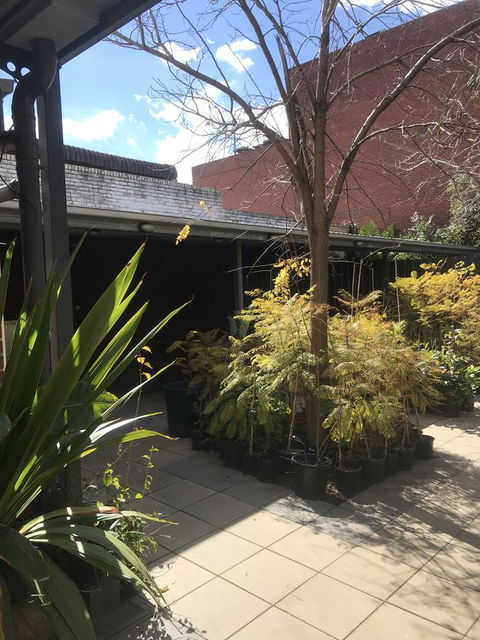 CROWN CENTRAL BUSINESS DISTRICT MOTEL - NO UNDER 18s - Kingaroy Accommodation 21