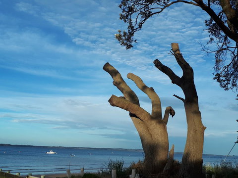 Apartments In Phillip Island Towers - Block C - Kingaroy Accommodation 10