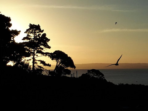 Apartments In Phillip Island Towers - Block C - Kingaroy Accommodation 19