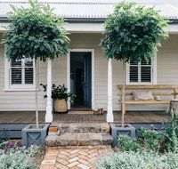 Acre of Roses - Kingaroy Accommodation