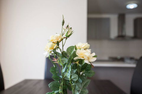 Holiday Rose - Kingaroy Accommodation 8