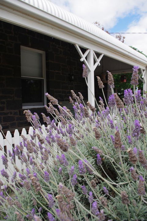 Little River Bed And Breakfast - Kingaroy Accommodation 30
