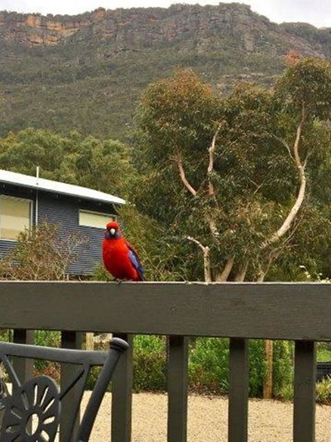 Kangurra Holiday House - Kingaroy Accommodation 15