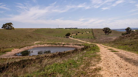 Tintagel - Kingaroy Accommodation 31
