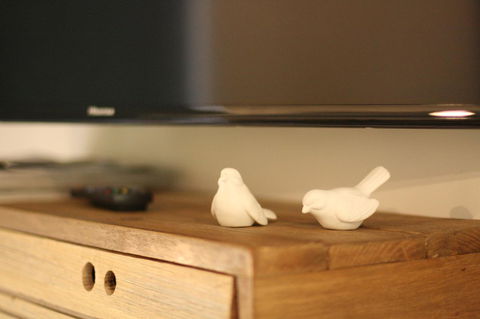 4 Autumn Grove - Kingaroy Accommodation 12