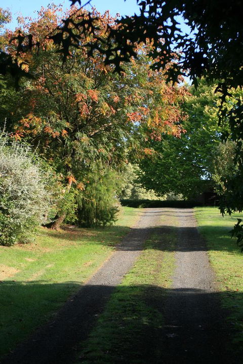 Strathmore Farm B&B - Kingaroy Accommodation 27