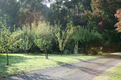 Strathmore Farm B&B - Kingaroy Accommodation 33
