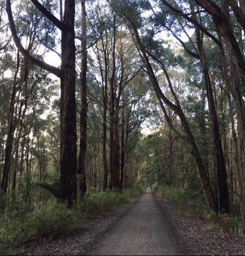 Strathmore Farm B&B - Kingaroy Accommodation 4