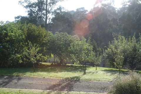 Strathmore Farm B&B - Kingaroy Accommodation 19