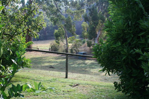 Strathmore Farm B&B - Kingaroy Accommodation 30