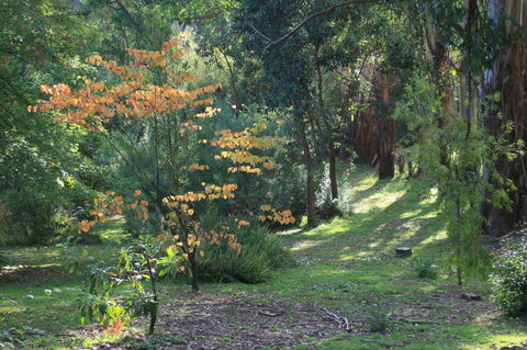 Strathmore Farm B&B - Kingaroy Accommodation 25