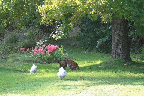 Strathmore Farm B&B - Kingaroy Accommodation 23