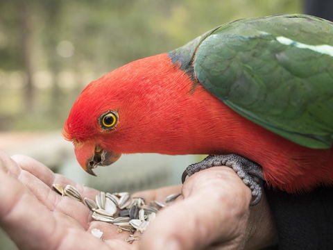 Gipsy Point Lodge & Cottages - Kingaroy Accommodation 17