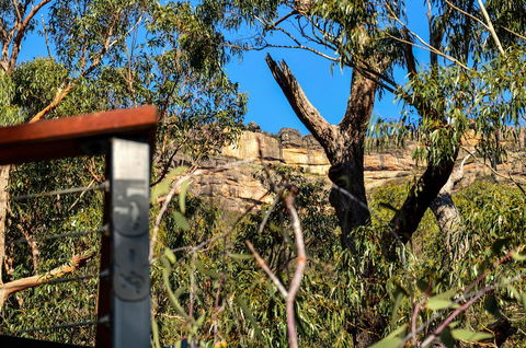 Blue Ridge Retreat - Kingaroy Accommodation 14