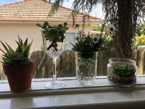 Growse House Yarram 3BR - Kingaroy Accommodation 10