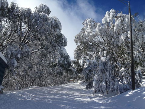 Maisonettes Falls Creek - Kingaroy Accommodation 17