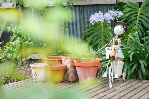 Miss Pym's Cottage - Kingaroy Accommodation 7
