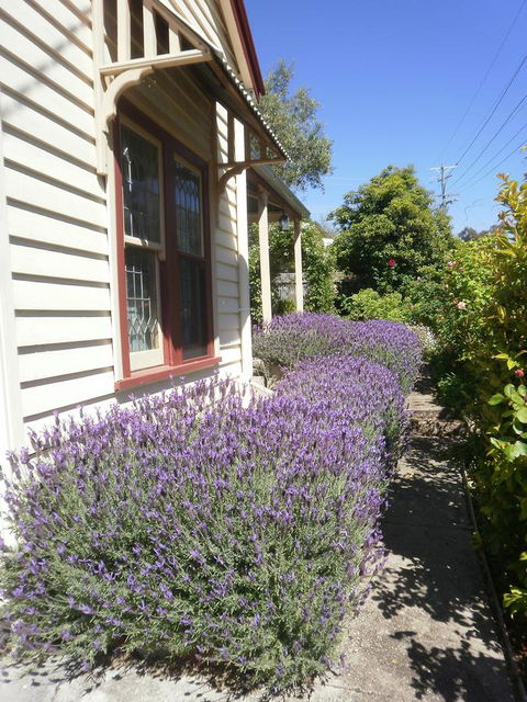 Miss Pym's Cottage - Kingaroy Accommodation 44