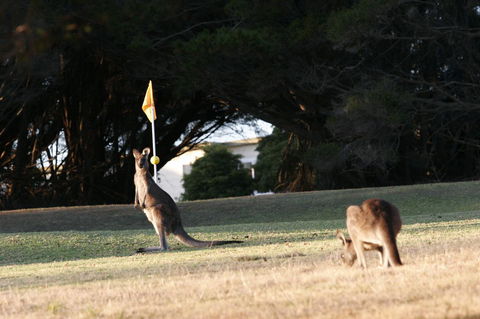 Lakeside At Mallacoota - Kingaroy Accommodation 37