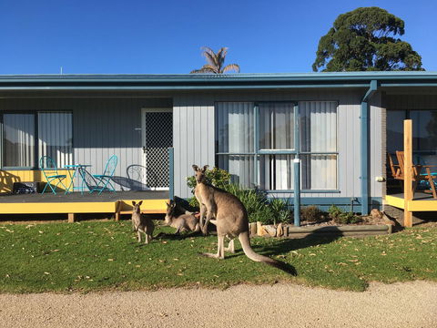 Lakeside At Mallacoota - Kingaroy Accommodation 15