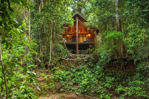 The Canopy Rainforest Treehouses & Wildlife Sanctuary - Kingaroy Accommodation 2