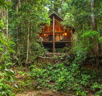 The Canopy Rainforest Treehouses  Wildlife Sanctuary - Kingaroy Accommodation