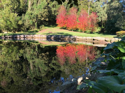 The Drawing Rooms Of Berry - Kingaroy Accommodation 2