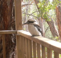 The Ledge Holiday House - Kingaroy Accommodation