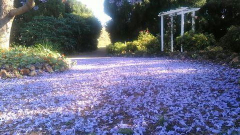 The Old Church Bed And Breakfast - Kingaroy Accommodation 2