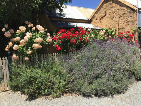 The Olde Devonshire House - Kingaroy Accommodation 2