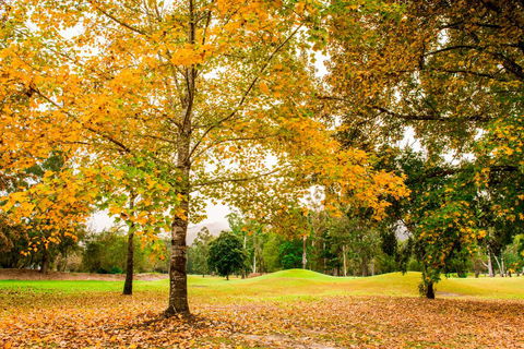 The Retreat At Wisemans - Kingaroy Accommodation 1